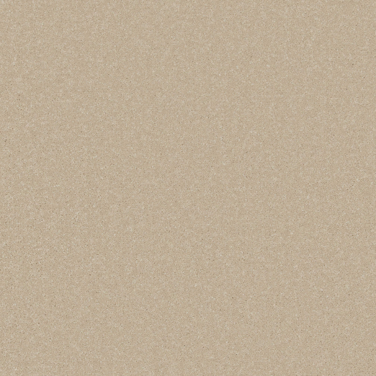 Cormar Primo Plus carpet - Cloudy Bay