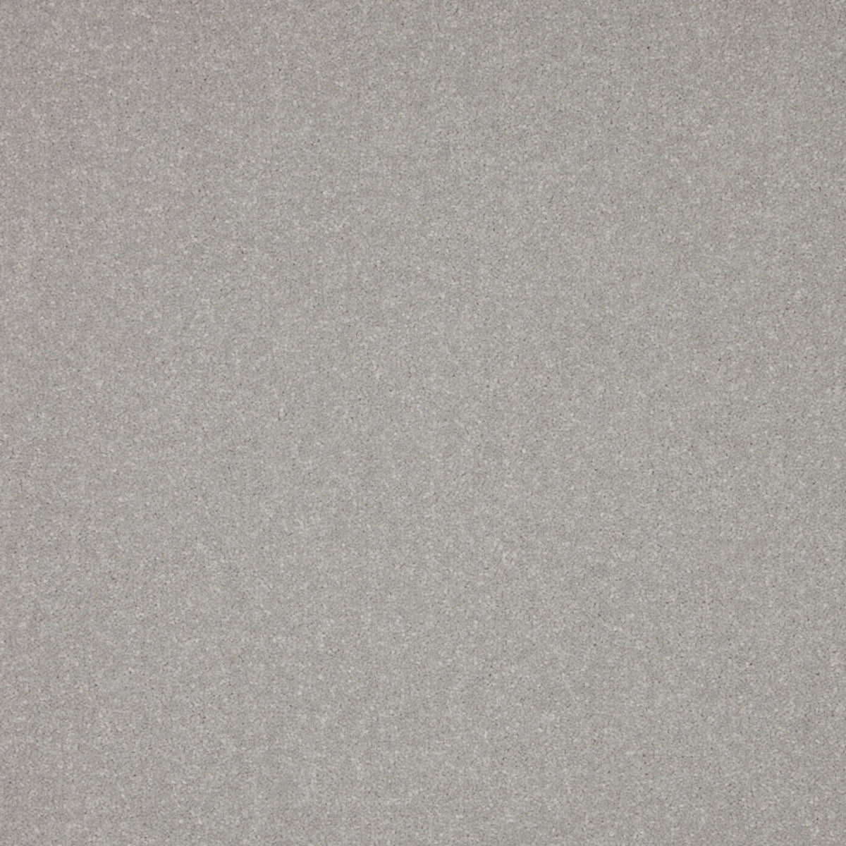 Cormar Primo Plus carpet - Gemstone