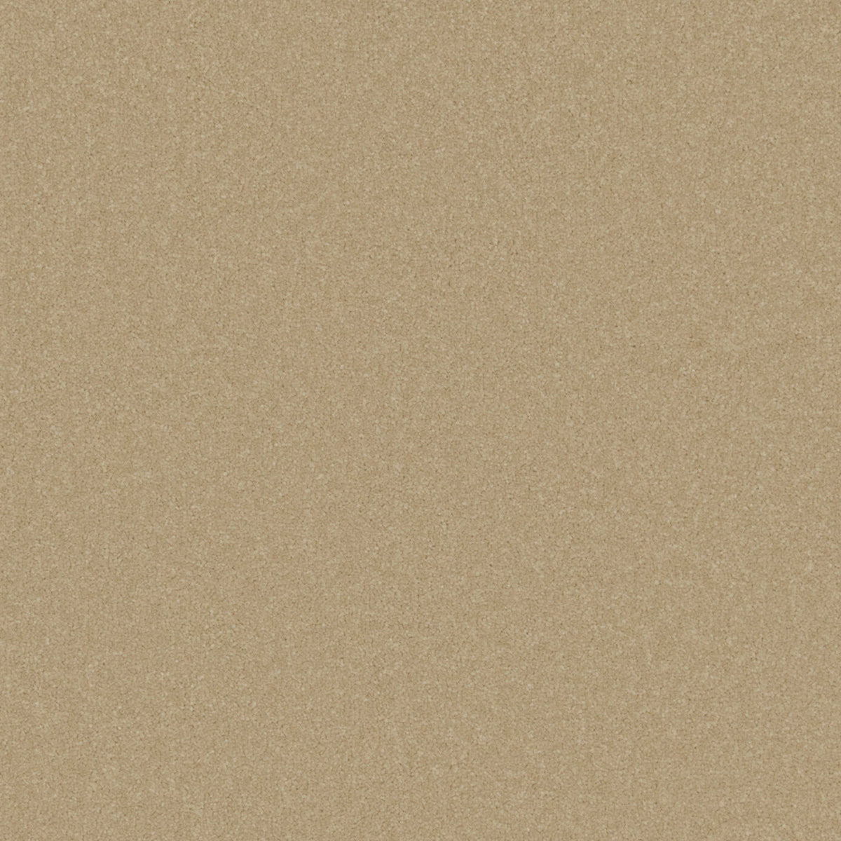 Cormar Primo Plus carpet - Muscovado