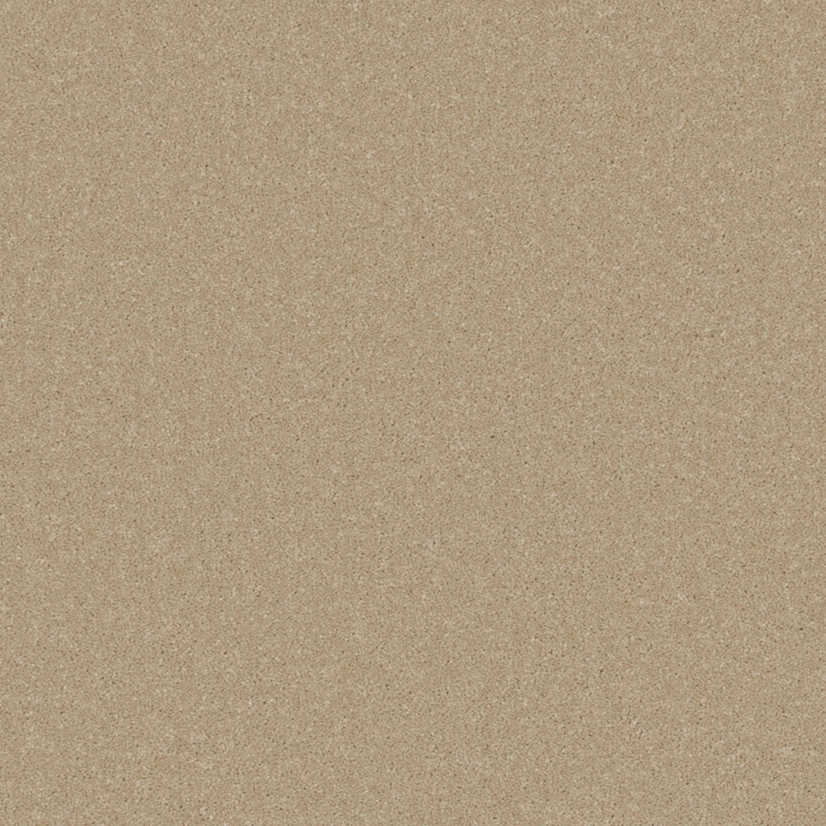 Cormar Primo Plus carpet - Putty