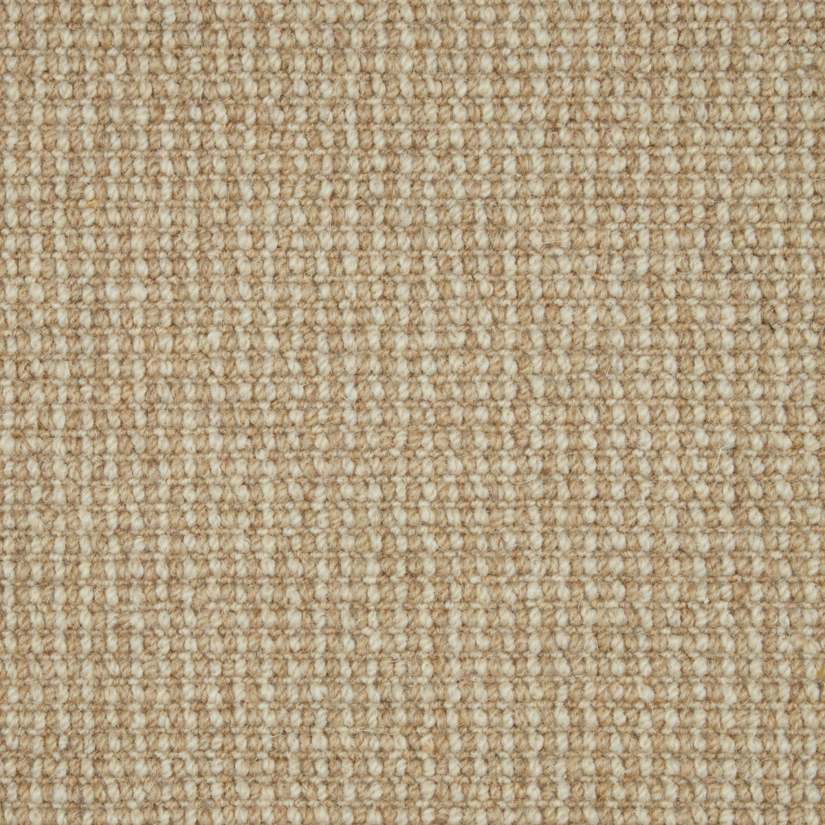 Cormar Trilogy carpet - Austen 236