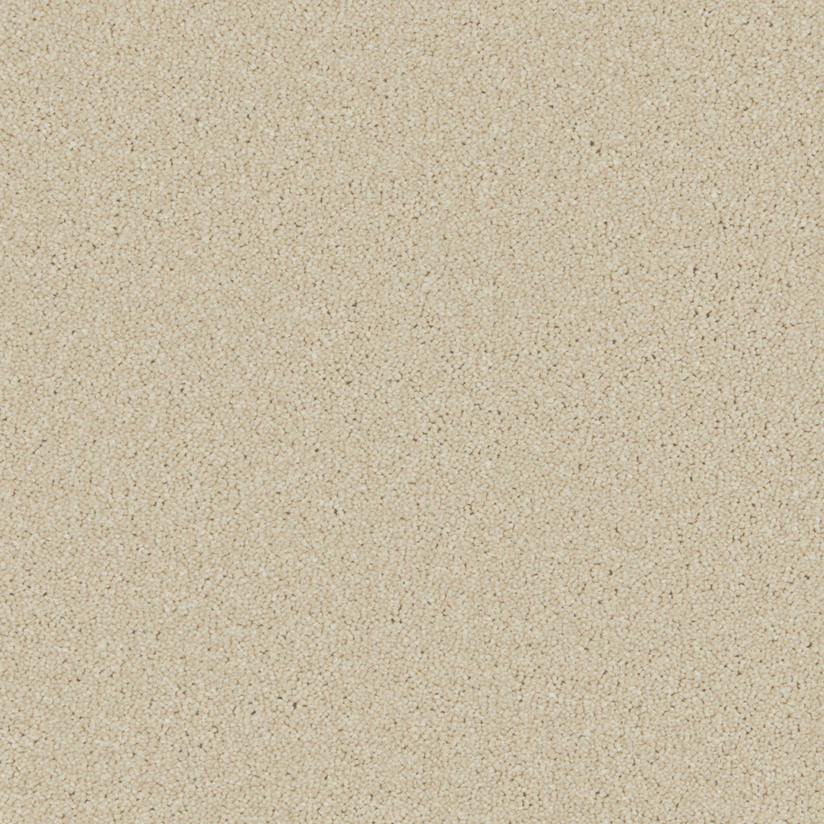Cormar Zenith carpet - Caribou
