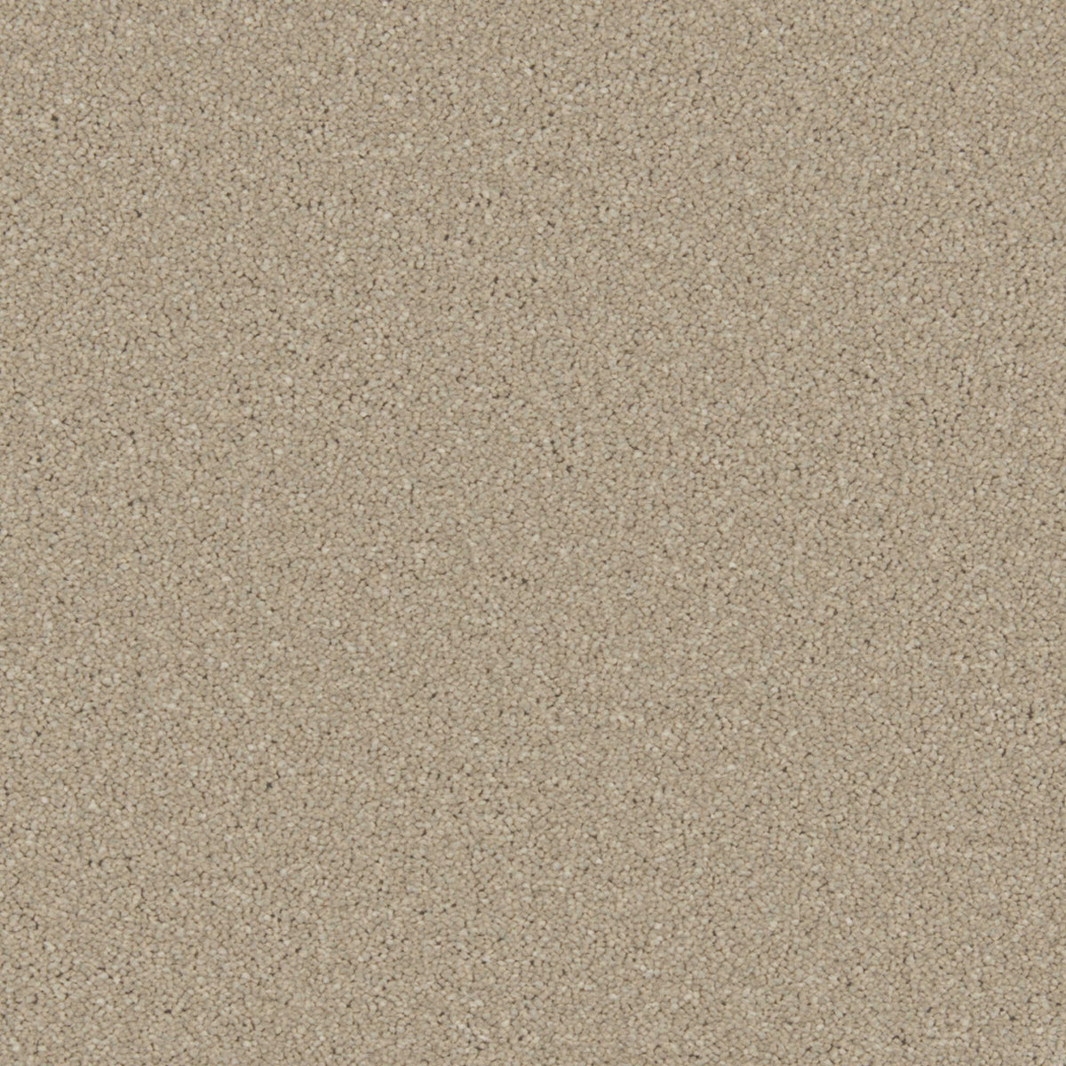 Cormar Zenith carpet - Dove Feather