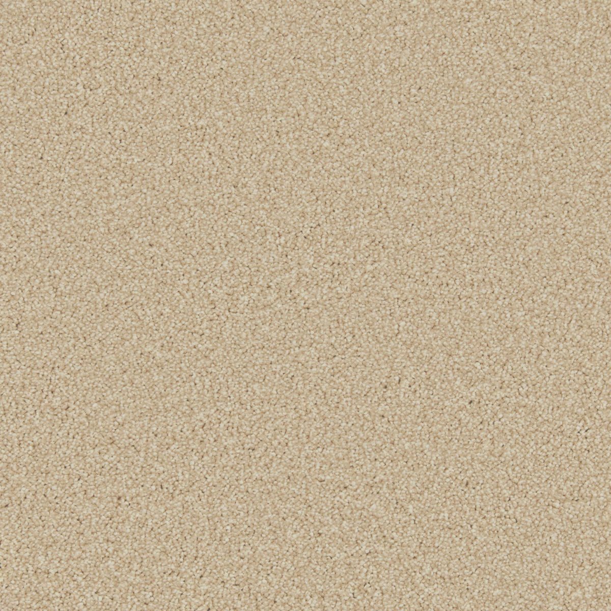 Cormar Zenith carpet - Lakeside