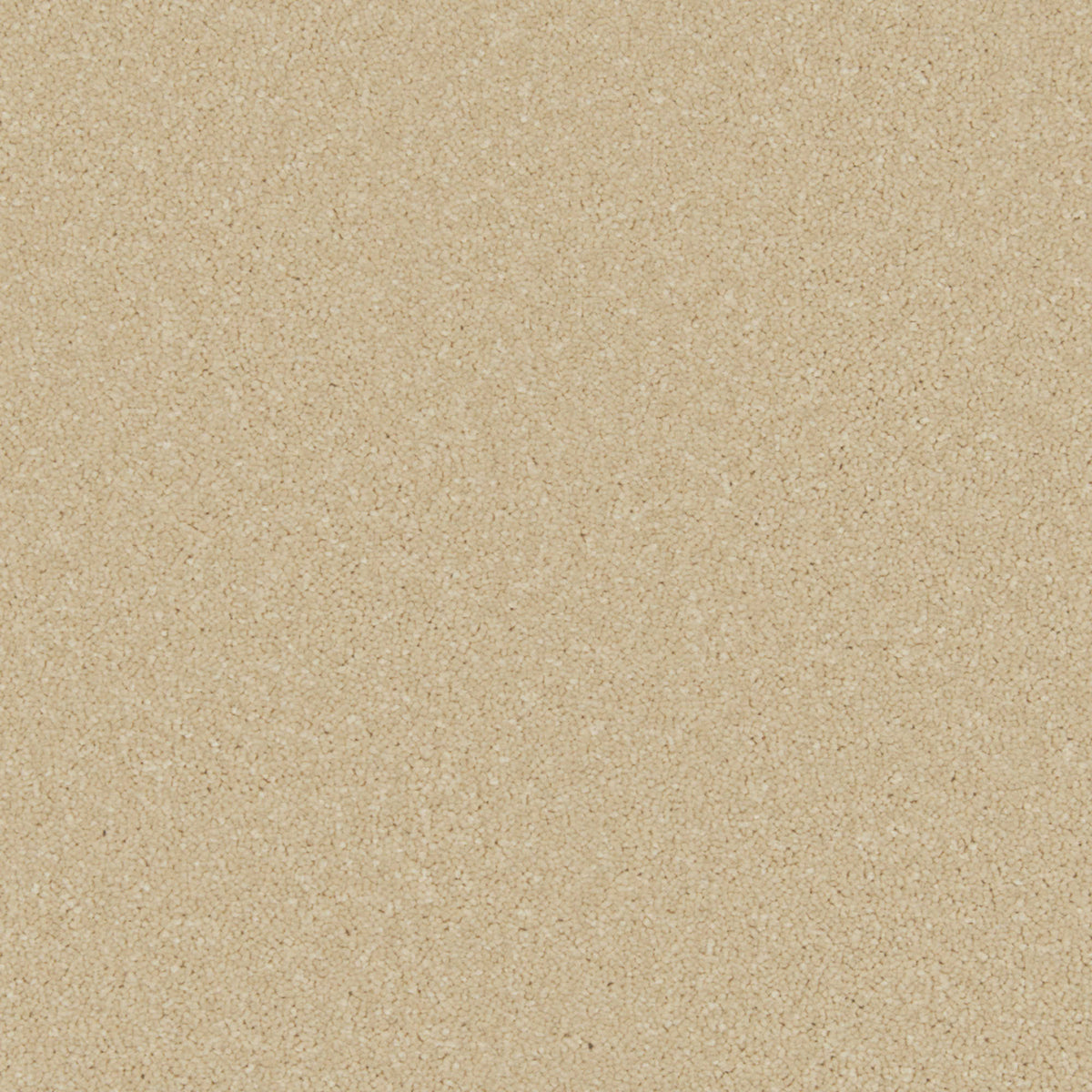 Cormar Zenith carpet - Palomino Gold