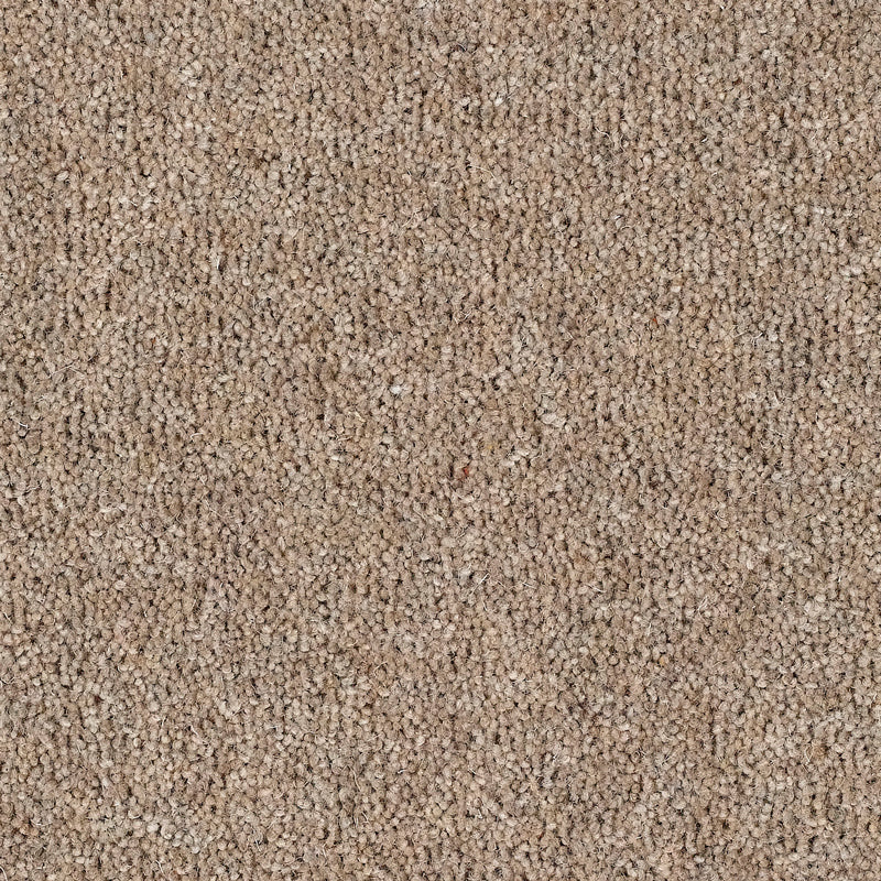 Fairbourne Carpet