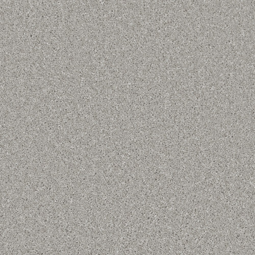 Essential Saxony Pale Dove