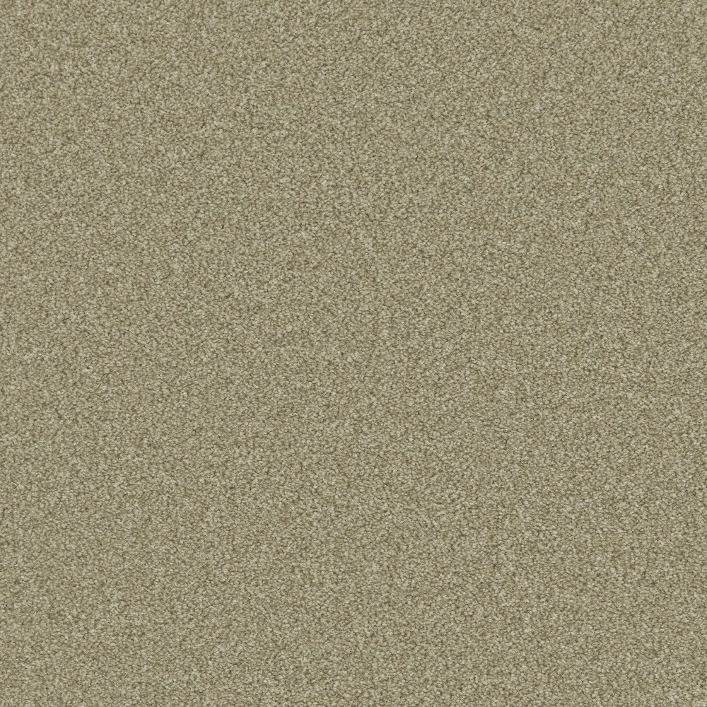 Provence Deluxe Olive