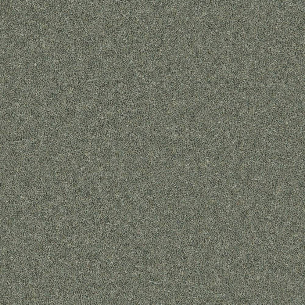 Timeless Deluxe Soft Seaweed