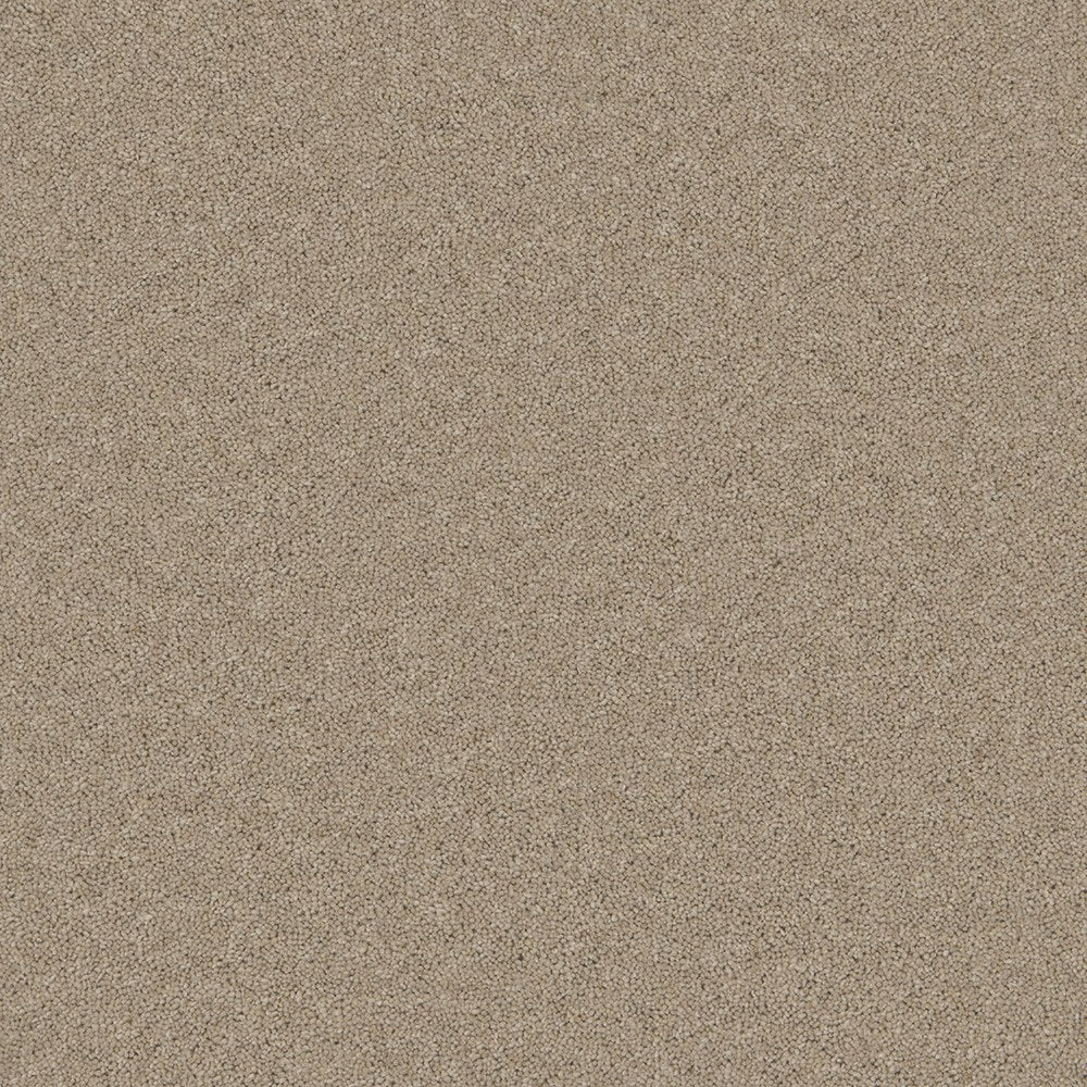 Timeless Deluxe Tranquil Truffle