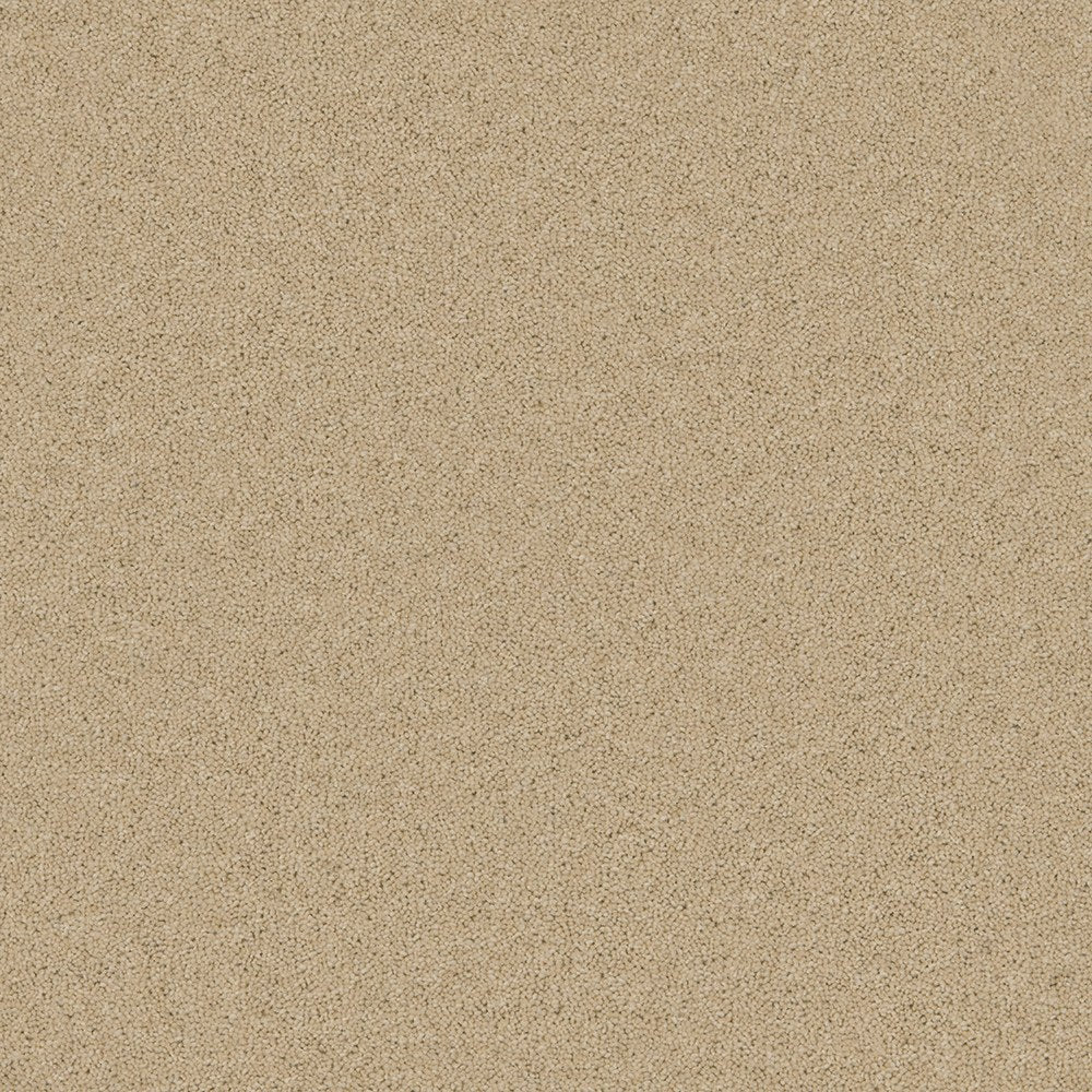 Timeless Twist Light Lace