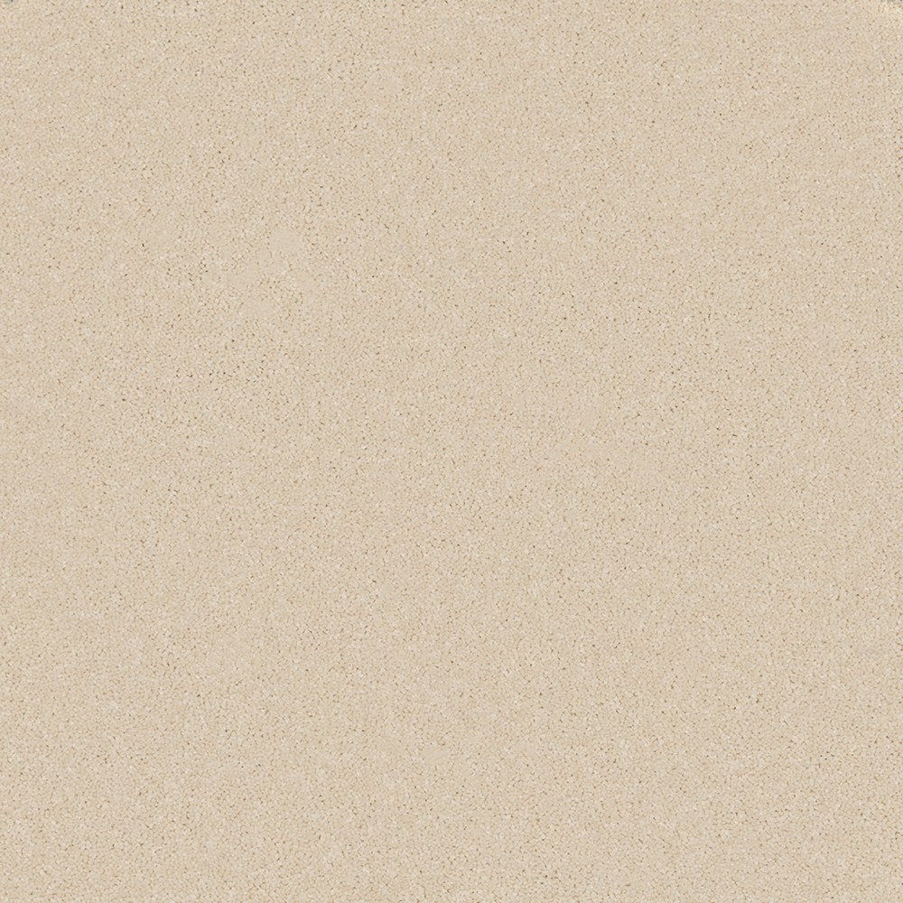 Trident Plains Oyster Shell