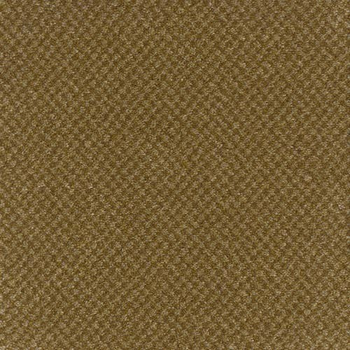 Trident Tweed Winter Barley