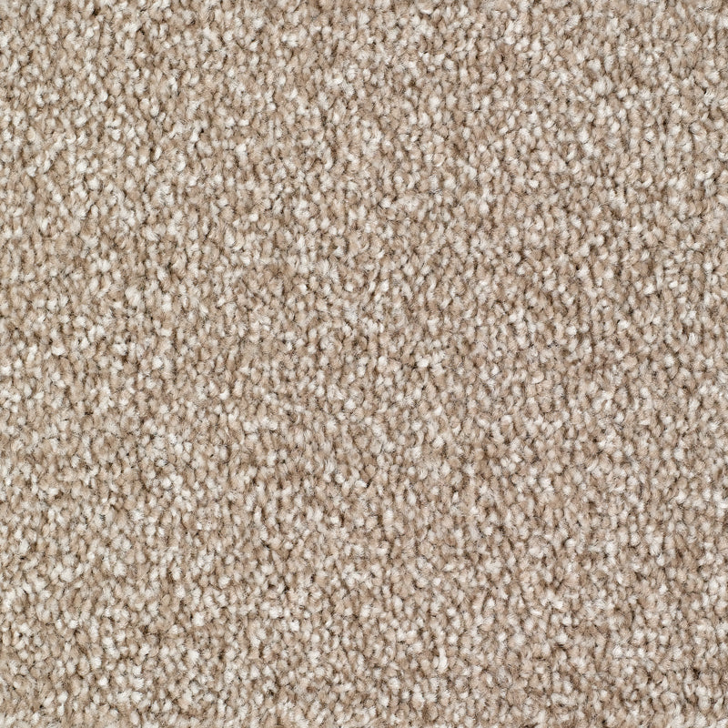 Rye Carpet