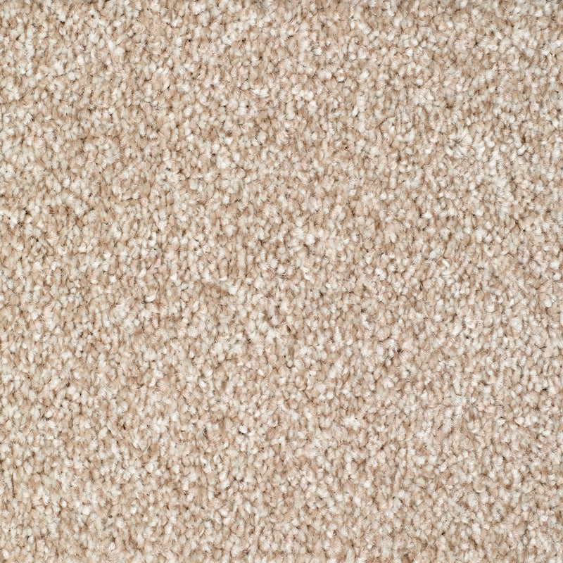 Rye Carpet