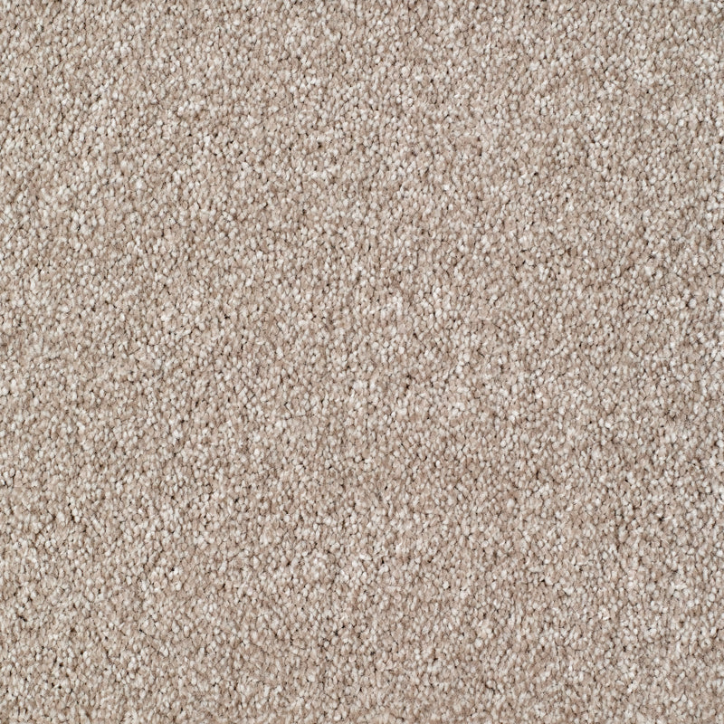 Salcombe Carpet