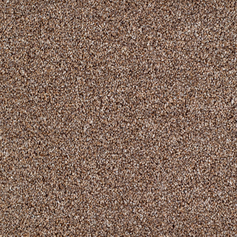 Salcombe Carpet