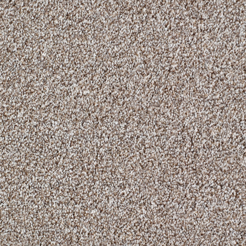 Salcombe Carpet