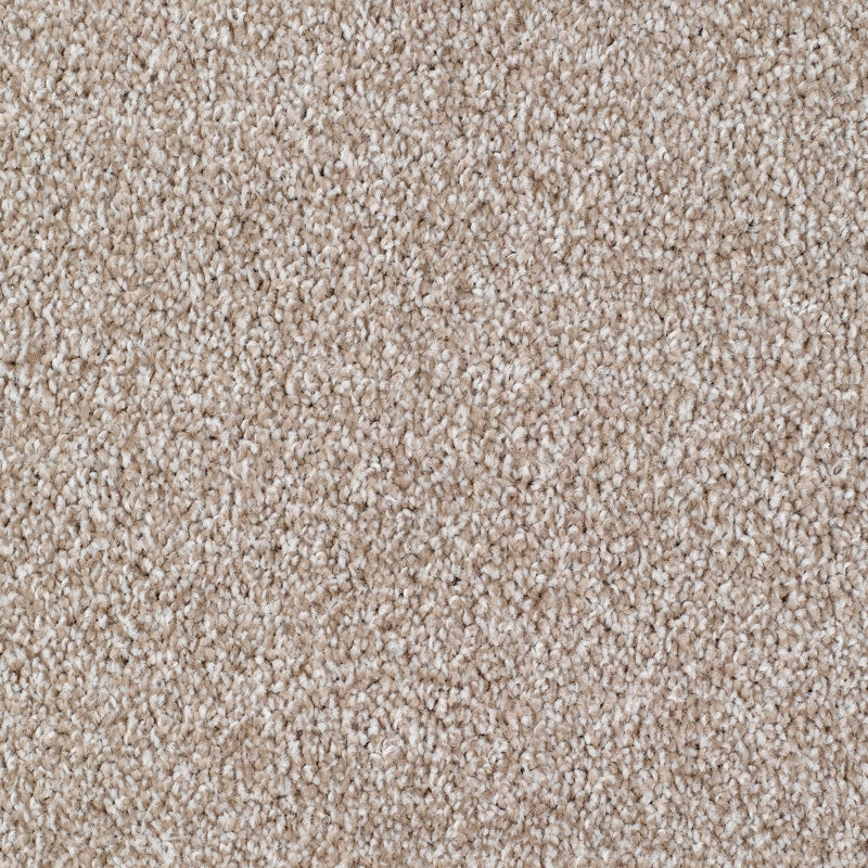 Seaford Carpet