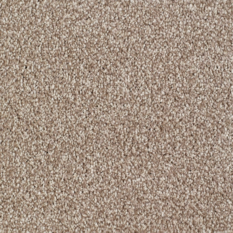 Sennen Twist Carpet