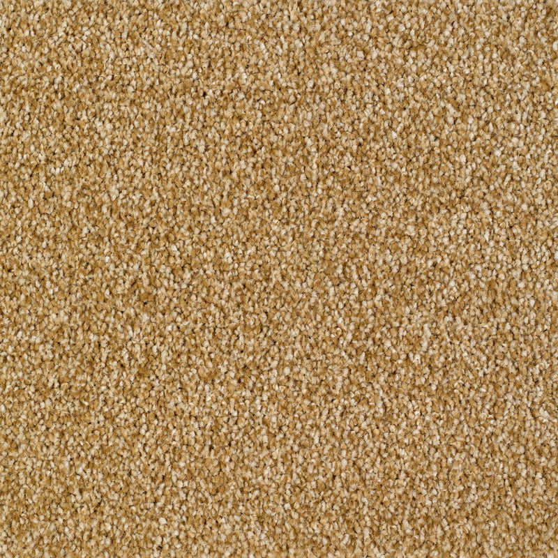 Sennen Twist Carpet