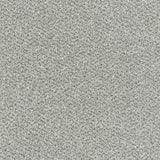 Tweed Carpet