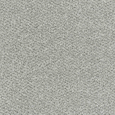 Tweed Carpet