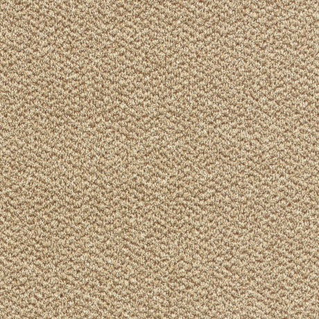 Tweed Carpet