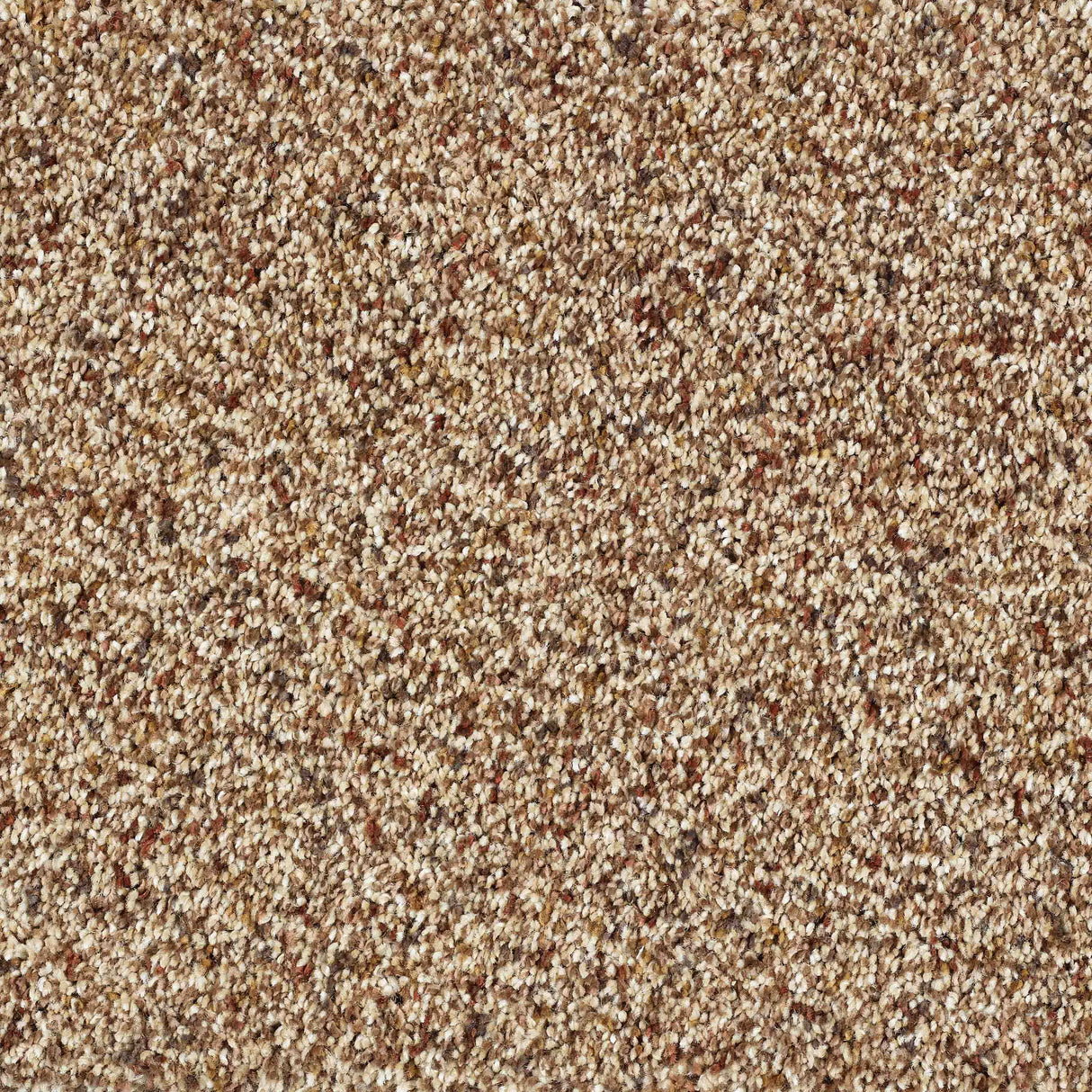 Wild Silk Carpet
