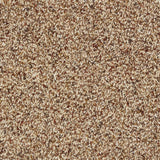 Wild Silk Carpet