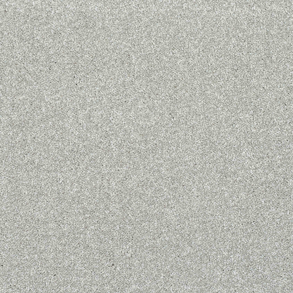 Caress Carpet