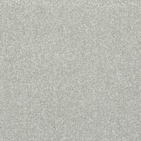 Caress Carpet