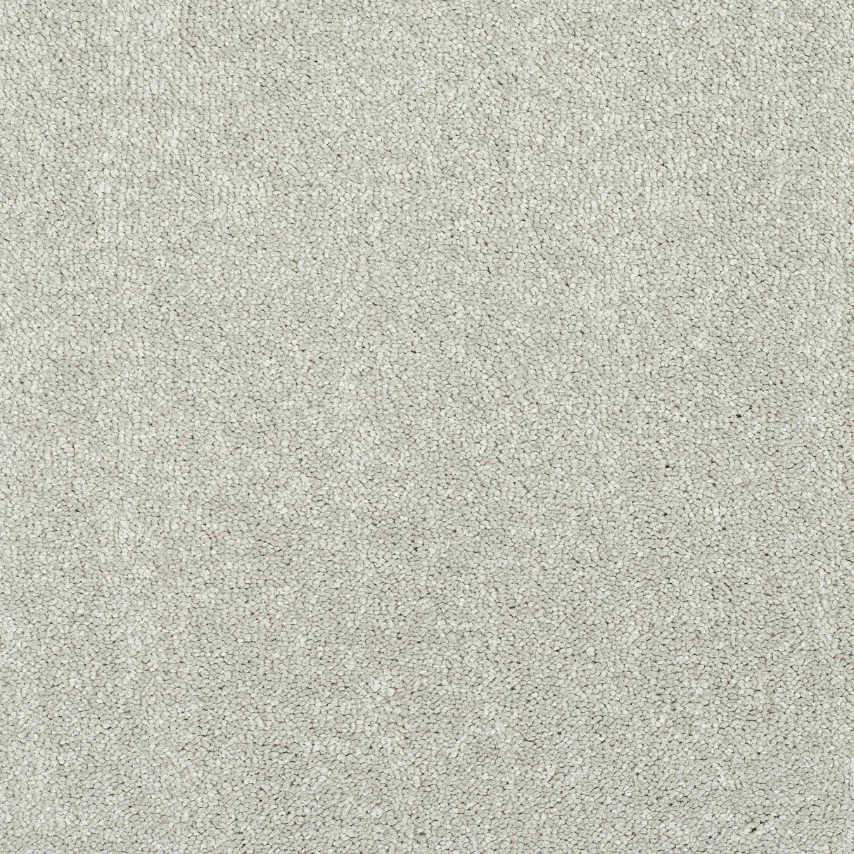 Caress Carpet