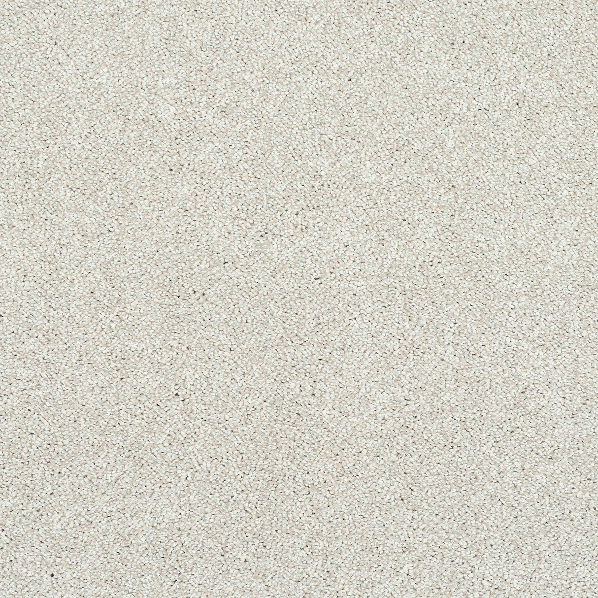 Caress Carpet