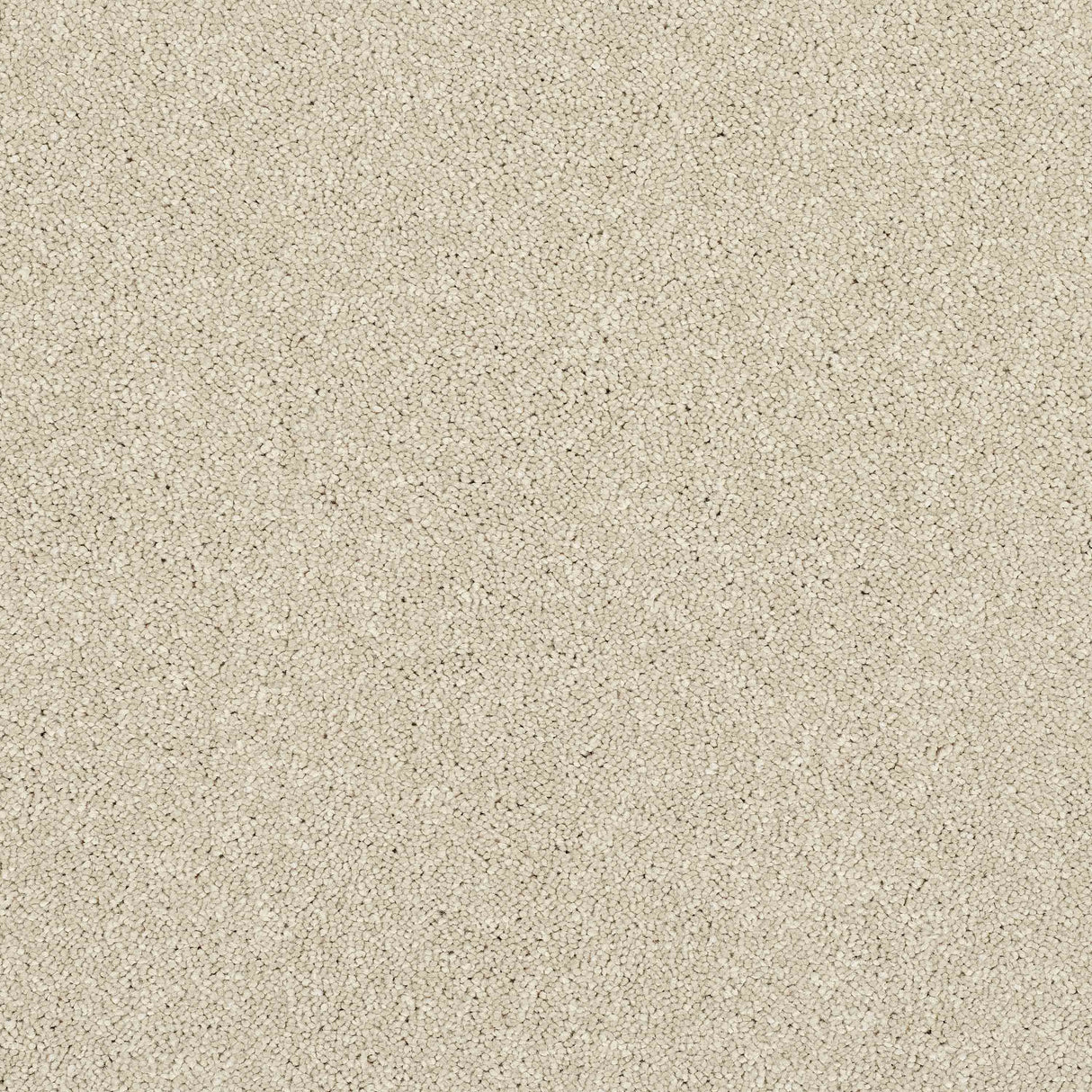 Caress Carpet