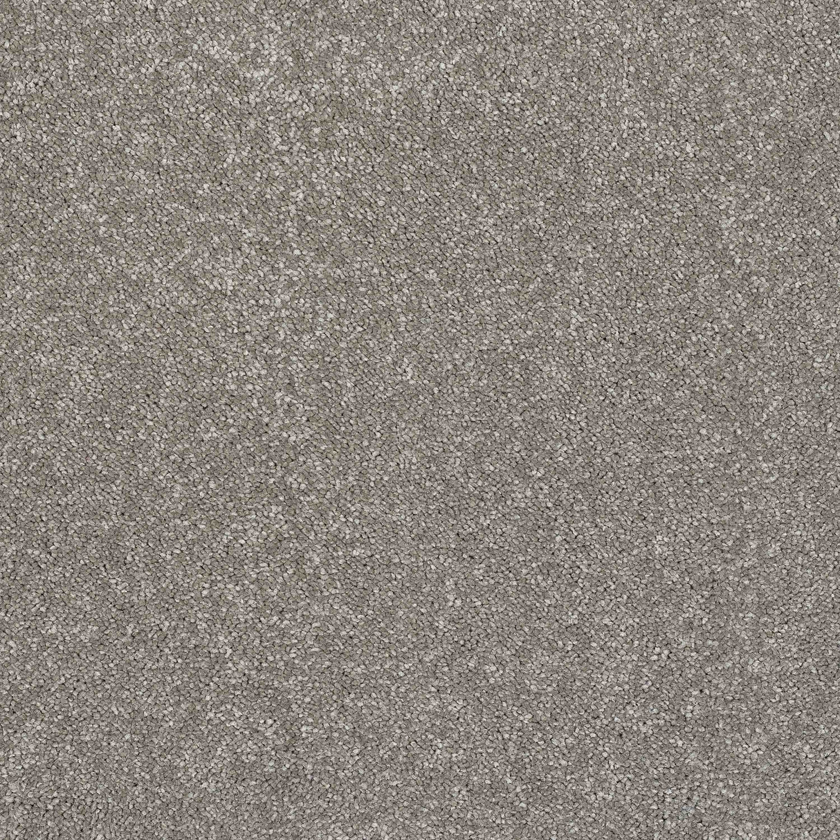 Caress Carpet