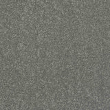 Caress Carpet