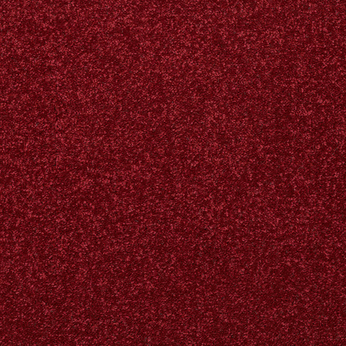 Caress Carpet