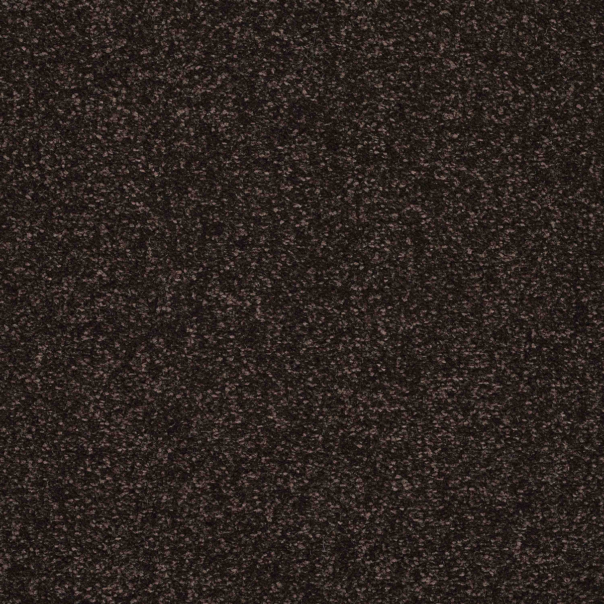 Caress Carpet