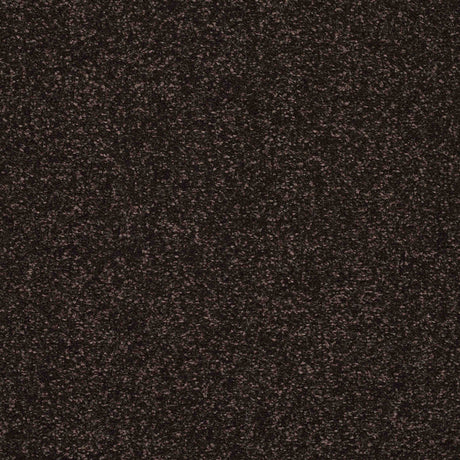 Caress Carpet