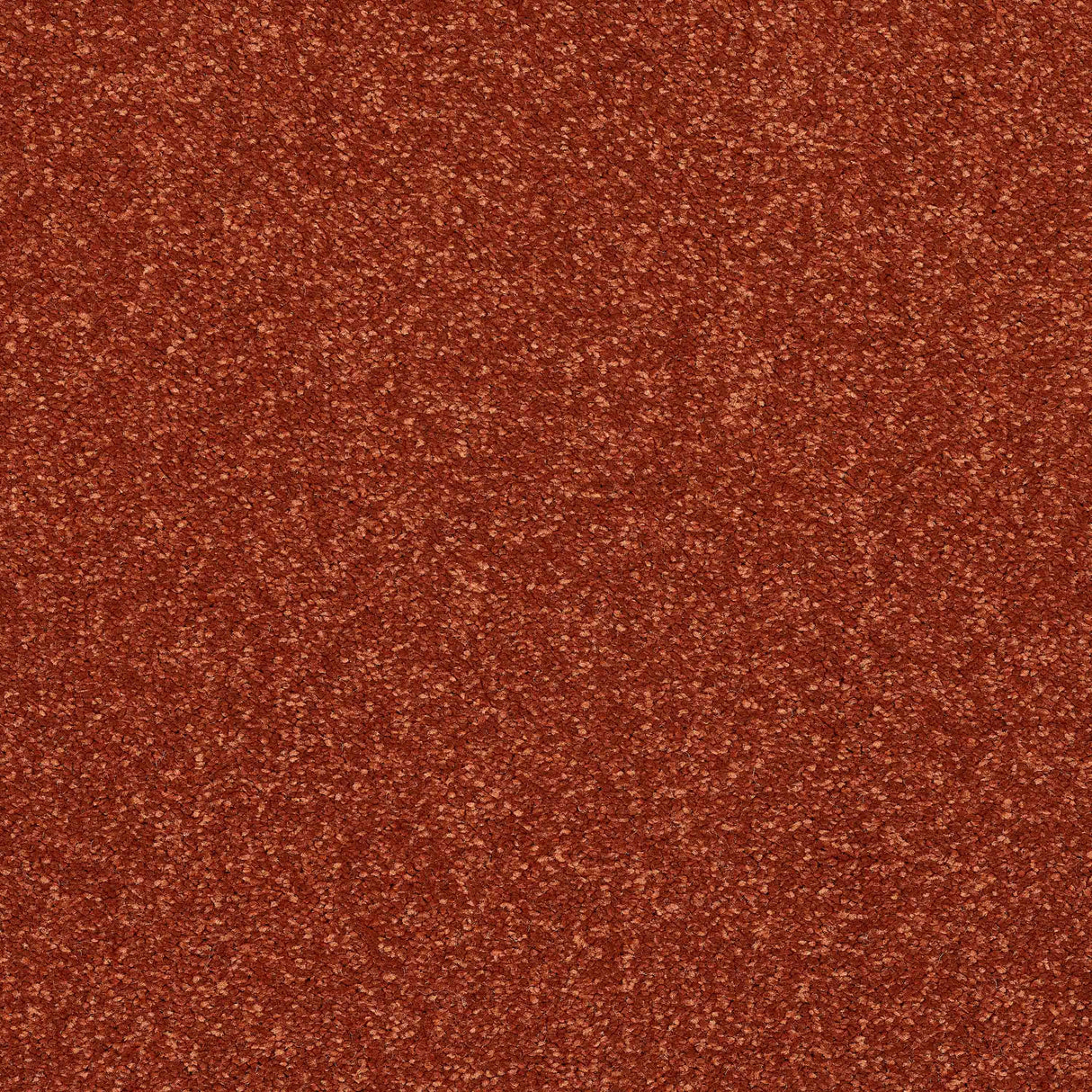 Caress Carpet