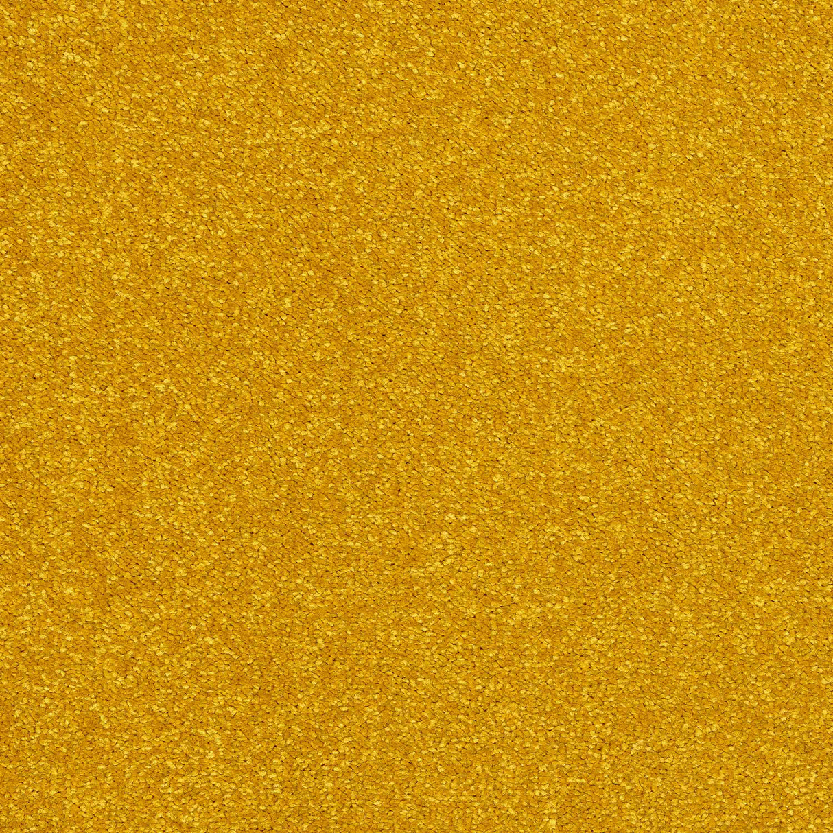 Caress Carpet