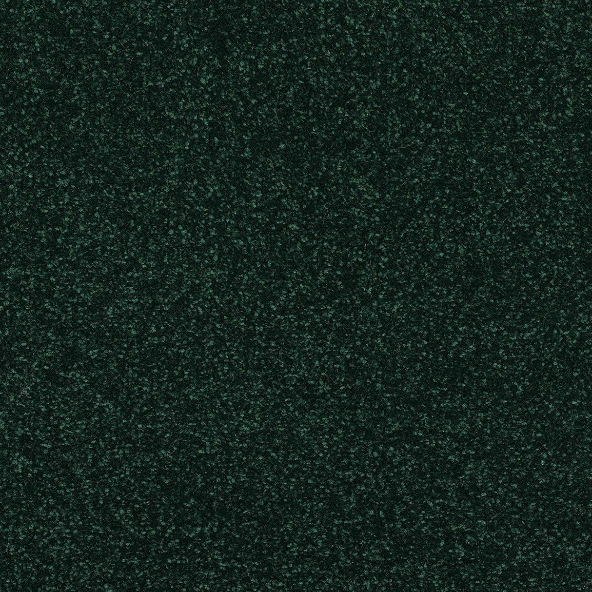 Caress Carpet