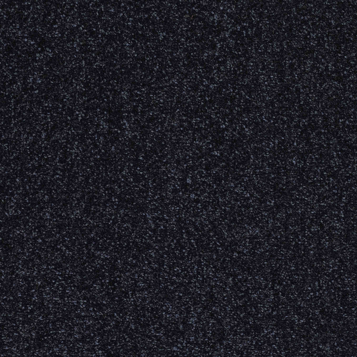 Caress Carpet
