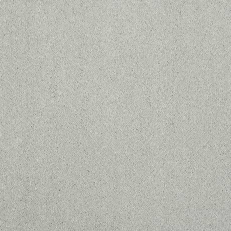 Pure Elegance Carpet