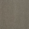 Pure Elegance Carpet