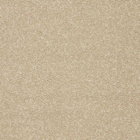 Twist Carpet