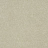 Twist Carpet