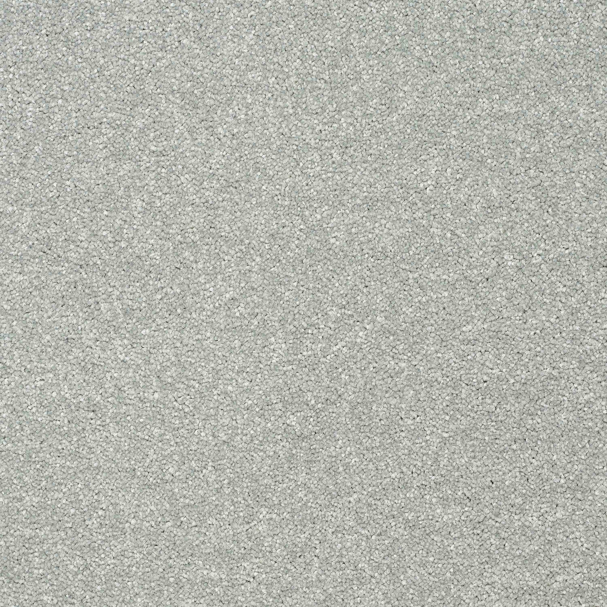 Twist Carpet