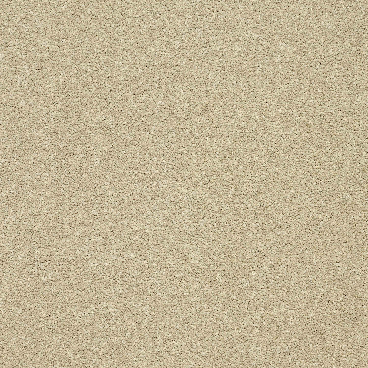 Twist Carpet